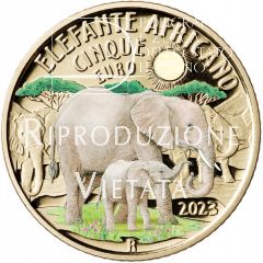 5 euro Serie Mondo Sostenibile - Animali in via di estinzione - Elefante africano