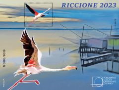 FOGLIETTO ERINNOFILO RICCIONE 2023