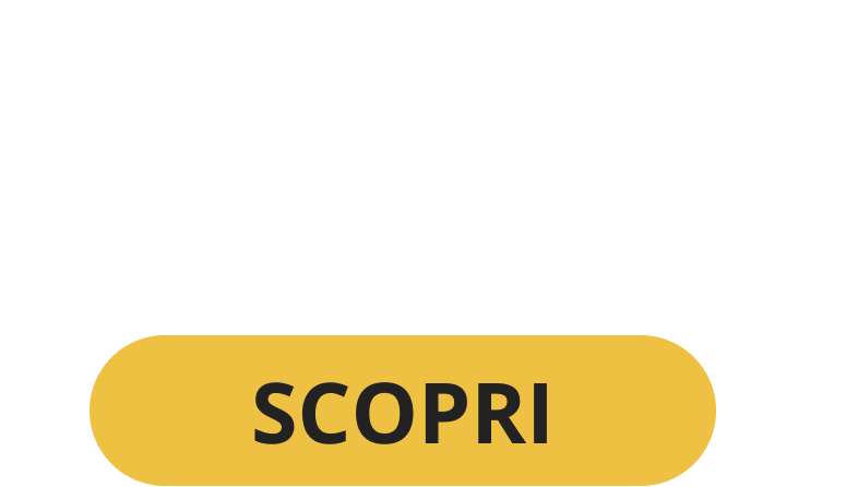 catalogo 2026